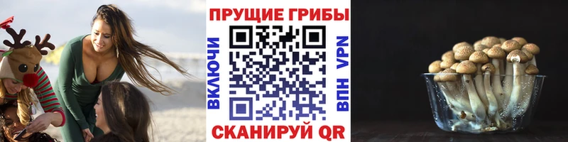 Купить закладки  Первомайск  Псилоцибиновые грибы ЛСД 